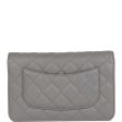 Chanel Wallet on Chain WOC Grey Caviar Light Gold Hardware Fashion