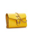 Gucci Garden Dionysus Wallet On Chain Crossbody Bag on Sale