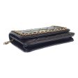 Chanel CC Quilted Chain Around Wallet On Chain  Leather Other AP0674 in Excellent condition Supply