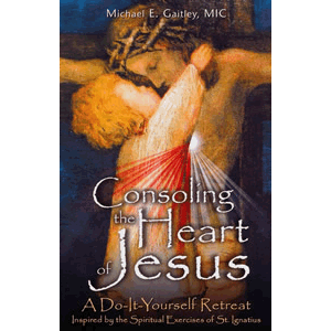 Consoling the Heart of Jesus - A Do -It -Yourself Retreat Michael Gaitley (Paperback) Online