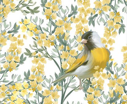 FEN656 - Yellow Spring Finch - 12x16 For Cheap