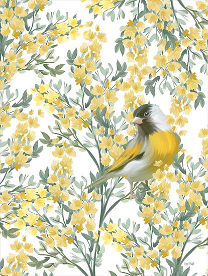 FEN656 - Yellow Spring Finch - 12x16 For Cheap