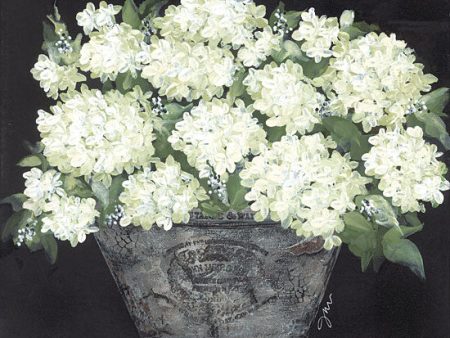 NOR191 - Snowball Hydrangea Pail - 12x12 For Sale