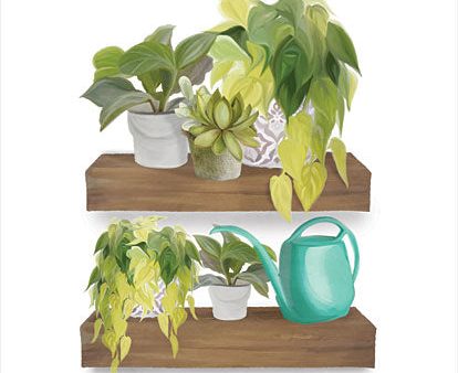 FEN589 - Plant Lover Shelves - 12x16 Discount