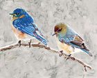 SDS991 - Eastern Bluebirds 1 - 16x12 For Cheap