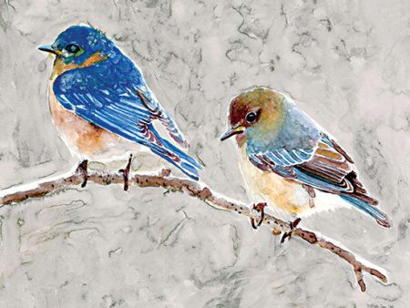 SDS991 - Eastern Bluebirds 1 - 16x12 For Cheap