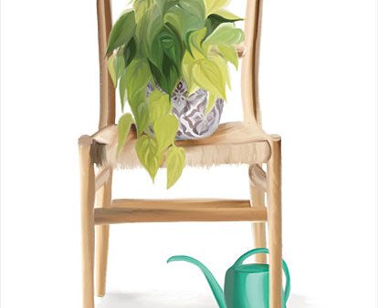 FEN588 - Plant Lover Wicker Chair - 12x16 Cheap