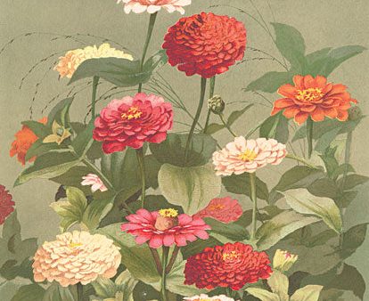 SDS949 - Antique Botanical Collection 1 - 12x18 Online Hot Sale