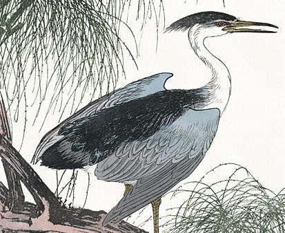 SDS1003 - Perched Heron - 12x16 Online Hot Sale