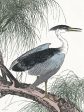 SDS1003 - Perched Heron - 12x16 Online Hot Sale