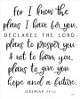 LUX598 - The Plans I Have For You - 12x16 Hot on Sale