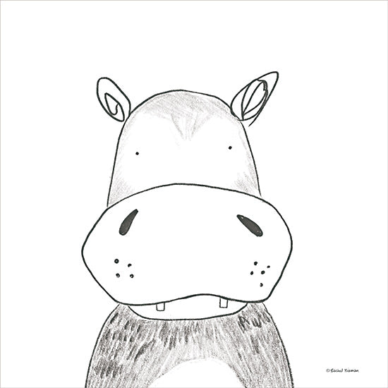 RN426 - Hippo Line Drawing - 12x12 Online