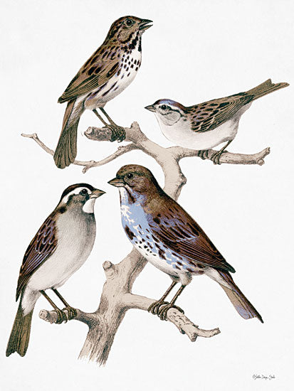 SDS993 - Birds on Branch - 12x16 on Sale