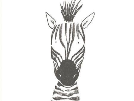 RN428 - Zebra Line Drawing - 12x12 Online now