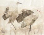 SDS960 - Sandhill Cranes 2 - 16x12 Online Hot Sale