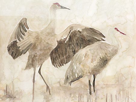 SDS960 - Sandhill Cranes 2 - 16x12 Online Hot Sale