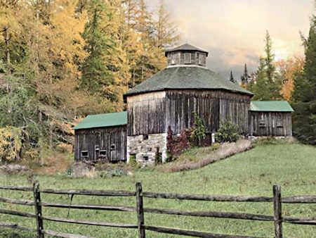 LD2604 - Octagon Barn - 18x12 on Sale