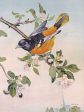 SDS962 - Spring Song Bird - 12x16 Supply