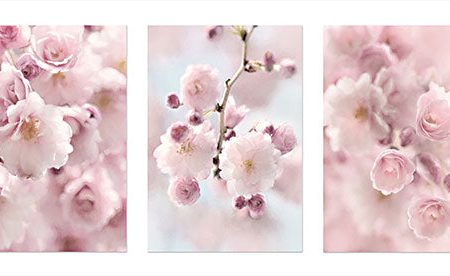 LD2825 - Weeping Cherry Trio - 18x9 Online Sale