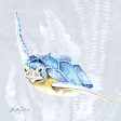 KEL265 - Sea Turtle II - 12x12 on Sale