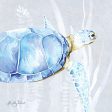 KEL264 - Sea Turtle I - 12x12 Discount